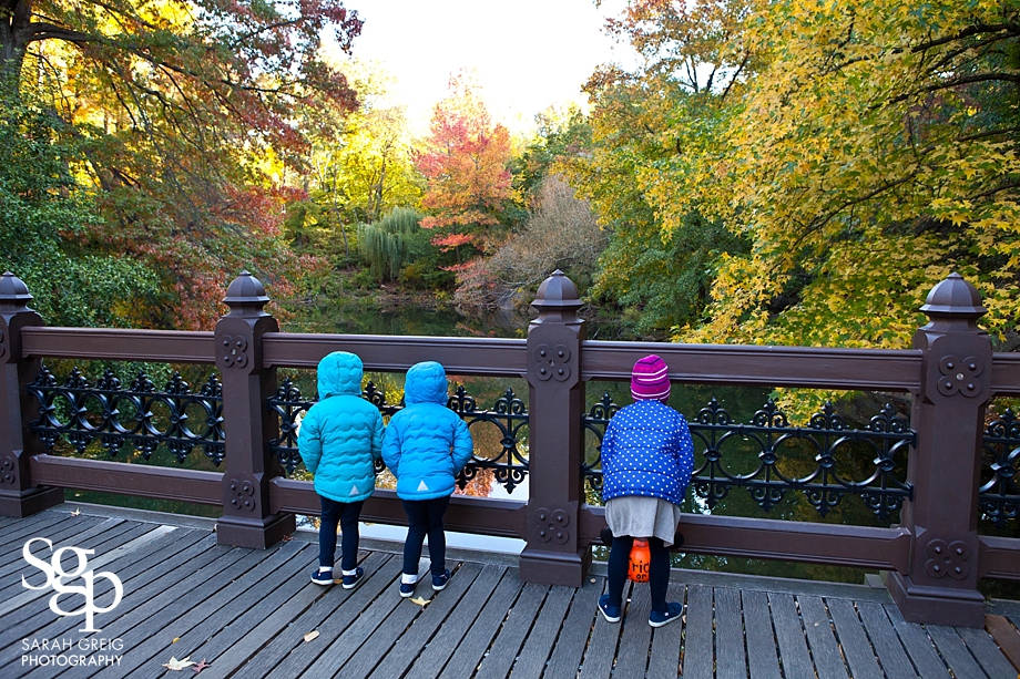 sarahgreigphotography_stomp_1190